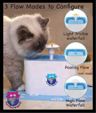 Load image into Gallery viewer, Purrfect World Cat and Dog Water Fountain w/ 3 Carbon - Ion Exchange Filters : 84 Oz / 2.5L Capacity