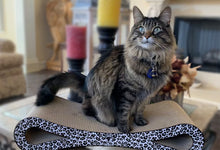 Load image into Gallery viewer, Purrfect World 26&quot; Cat Lounge - Scratcher - Figure 8 Snow Leopard