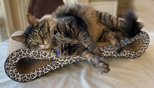 Load image into Gallery viewer, Purrfect World 26&quot; Cat Lounge - Scratcher - Figure 8 Snow Leopard